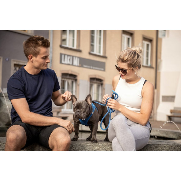 Curli vodítko pro psy Comfort Blue L