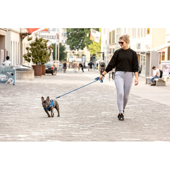 Curli vodítko pro psy Comfort Blue L