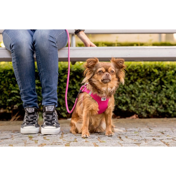 Curli vodítko pro psy Comfort Pink L