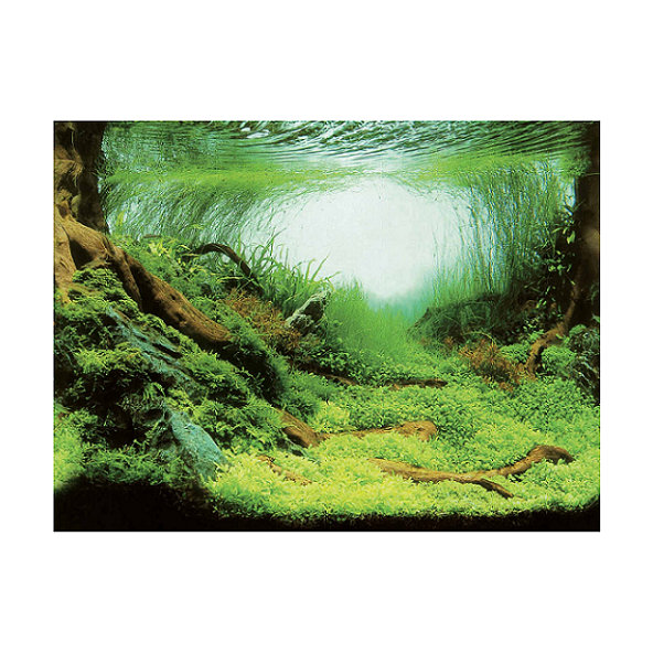 Aqua Nova pozadí do akvária S rostliny a oceán 60 x 30 cm