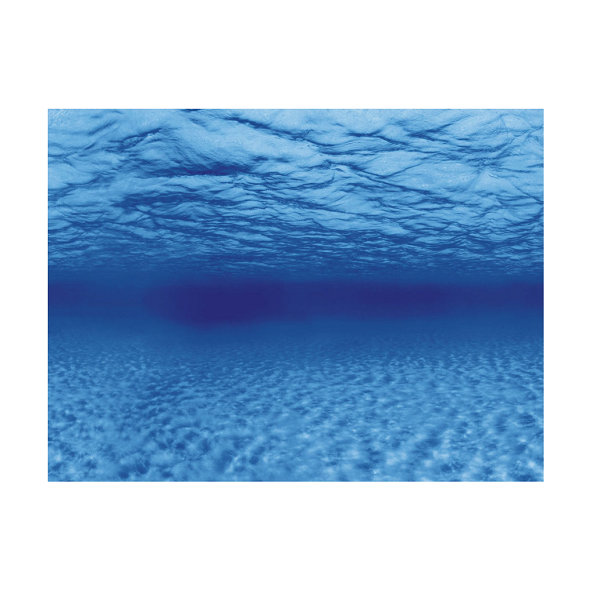 Aqua Nova pozadí do akvária L kořeny a voda 100 x 50 cm