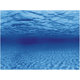 Aqua Nova pozadí do akvária L kořeny a voda 100 x 50 cm