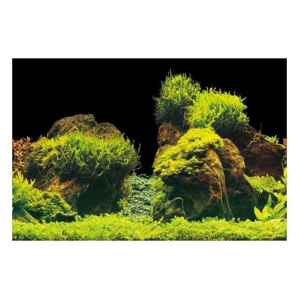 Aqua Nova pozadí do akvária L skály a rostliny 100 x 50 cm