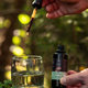 Hrotlife Reishi tinktura 50 ml
