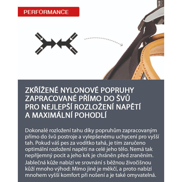 Curli postroj pro psy z jablečné kůže Black S 4–7 kg