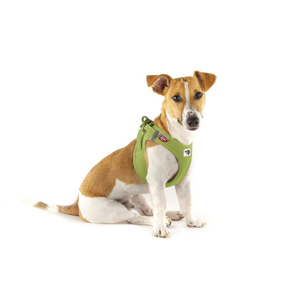 Curli postroj pro psy se sponou Air-Mesh Lime L 8-13 kg