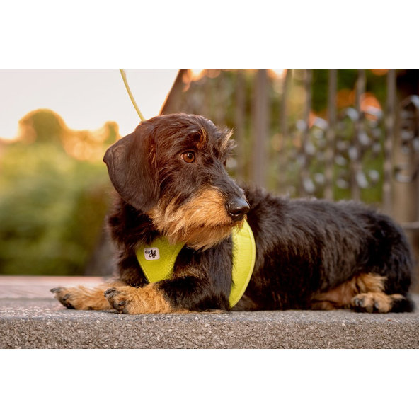 Curli postroj pro psy se sponou Air-Mesh Lime L 8-13 kg