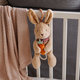 Babyono Rabbit Karo hudební hračka na C kroužku 0 m+