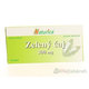 Naturica Zelený čaj 300 mg 30 tablet