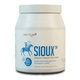 Barny's Sioux MSM Super Forte prášek 600 g