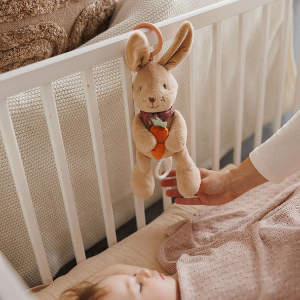 Babyono Rabbit Karo hudební hračka na C kroužku 0 m+