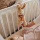 Babyono Rabbit Karo hudební hračka na C kroužku 0 m+