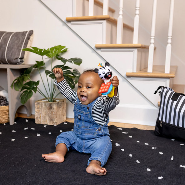 BABY EINSTEIN Kousátko s chrastítkem zebra Zen™ Shake-a-Shape 0m+