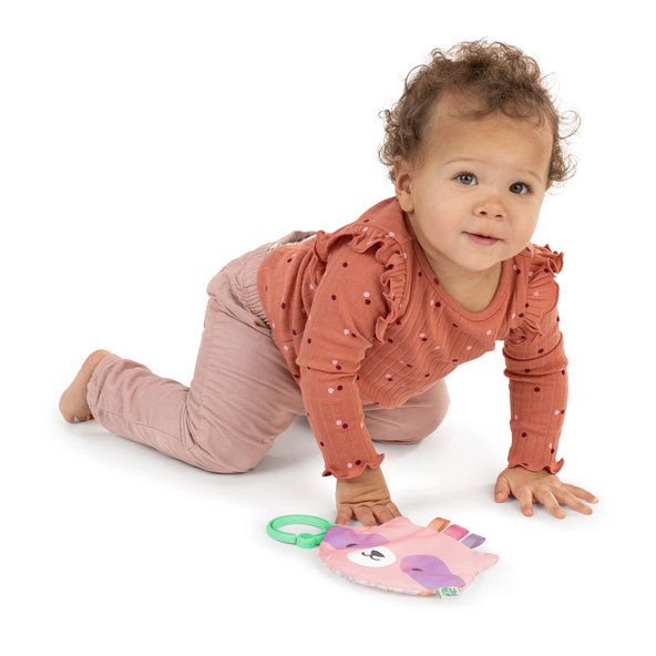 INGENUITY Hračka senzorická na C kroužku Crinklet™ mýval Deni 0m+
