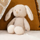 NATTOU Hračka plyšová Teddy zajíček 34 cm 0 m+