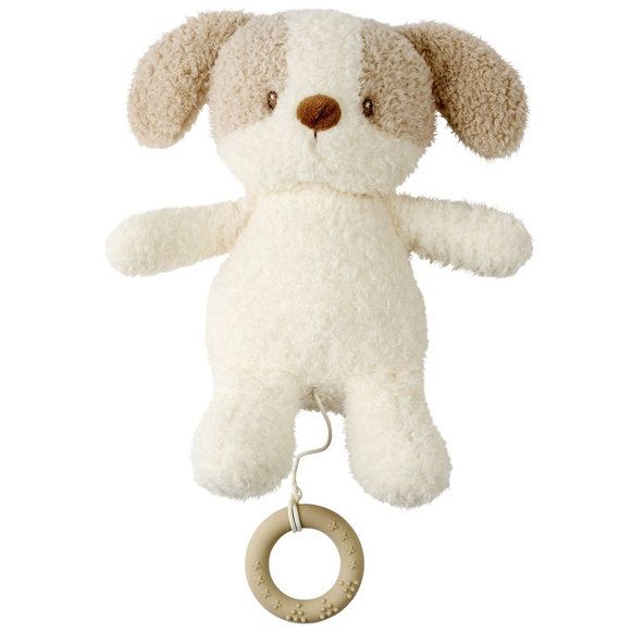 NATTOU Hračka plyšová hudební Teddy psík 24 cm 0 m+