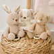 NATTOU Hračka plyšová hudební Teddy psík 24 cm 0 m+