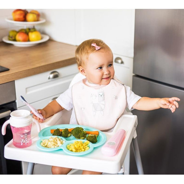 Babyono silikonová lžička s pouzdrem růžová 6 m+