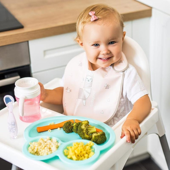 Babyono silikonová lžička s pouzdrem růžová 6 m+