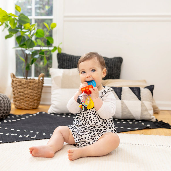 BABY EINSTEIN Kousátko s chrastítkem zebra Zen™ Shake-a-Shape 0m+