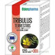 EDENPharma Tribulus 120 + 30 tablet zdarma