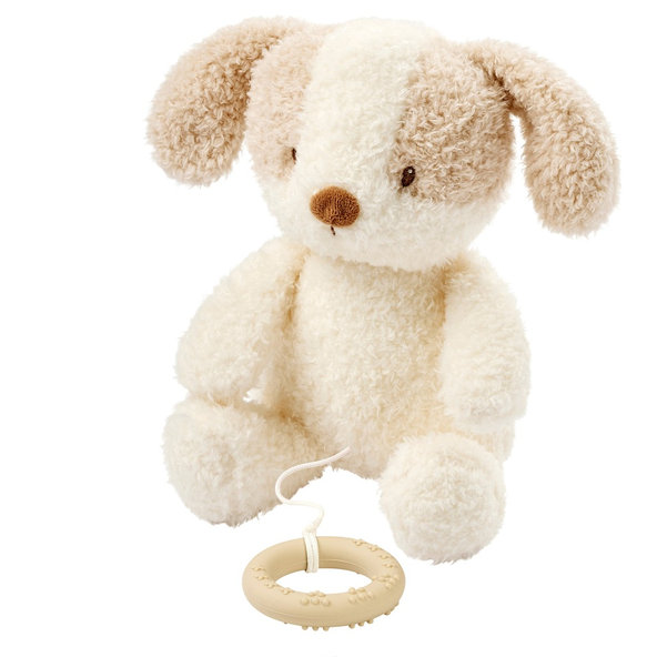 NATTOU Hračka plyšová hudební Teddy psík 24 cm 0 m+