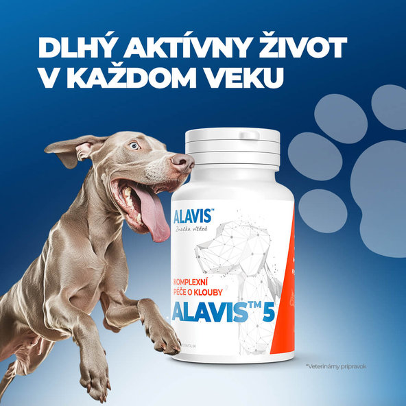ALAVIS 5 kloubní výživa pro psy a kočky 90 tablet