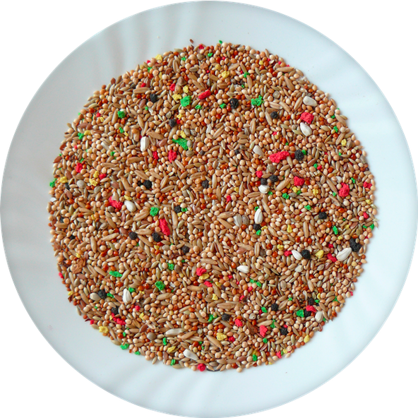 AVICENTRA Andulka Deluxe krmivo pro andulky 1 kg