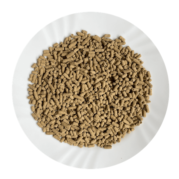 AVICENTRA COMPLETE+ krmivo pro potkany a myši 700 g