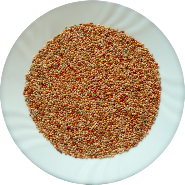 AVICENTRA Classic Menu andulka krmivo pro andulky 1 kg