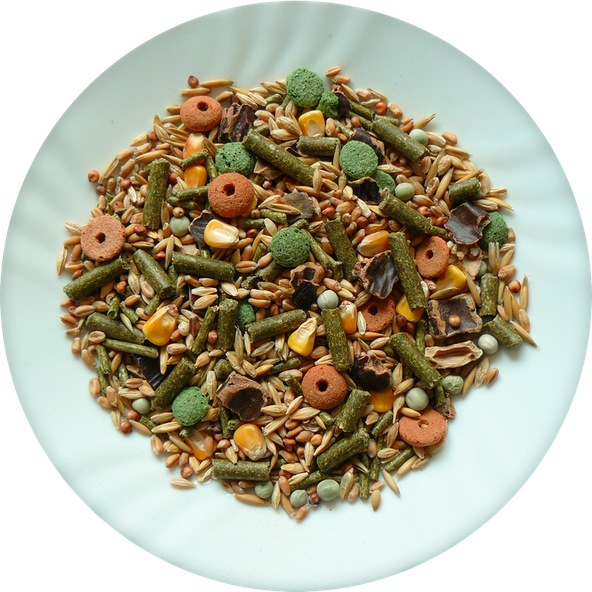 AVICENTRA Classic Menu morče krmivo pro morčata 1 kg