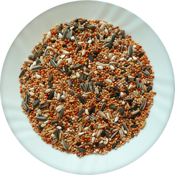AVICENTRA Classic Menu krmivo pro malé papoušky 20 kg