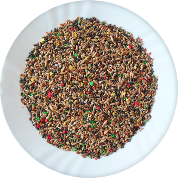 AVICENTRA Kanár Deluxe krmivo pro kanáry 20 kg