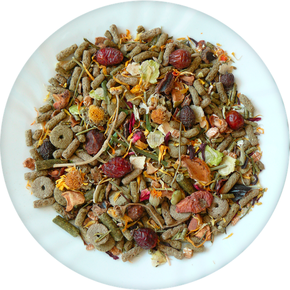 AVICENTRA Morče NATURE krmivo pro morčata 850 g