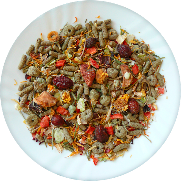AVICENTRA NATURE krmivo pro činčily a osmáky degu 850 g