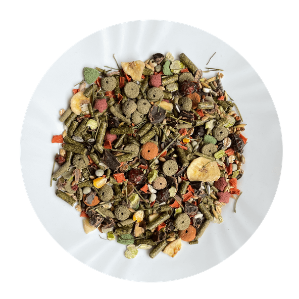 AVICENTRA Morče Speciál krmivo pro morčata 1 kg