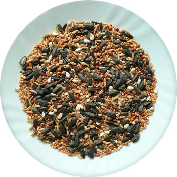 AVICENTRA zimní směs do krmítek 1 kg