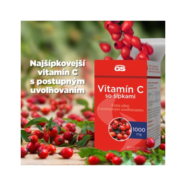 GS Vitamin C 1000 se šípky 100+20 tablet