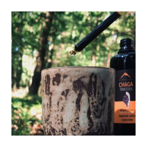 Hrotlife Chaga tinktura 100 ml