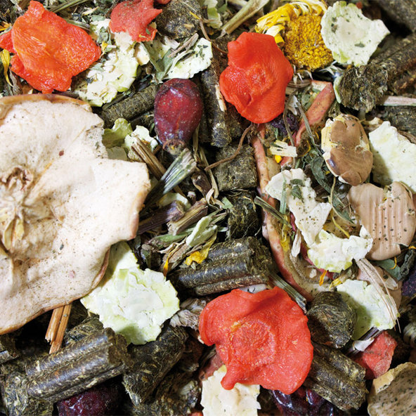 JR FARM Grainless Mix krmivo pro činčily a osmáky degu 650 g