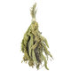 JR FARM Mix prosa v klasech pro exotické ptactvo 50 g