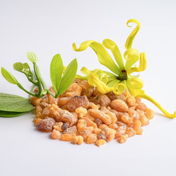 Priessnitz kloubní péče Kolageny + Boswellia 120 tablet