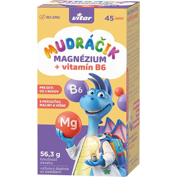 VITAR Mudráčik hořčík + B6 45 tablet