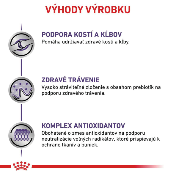 Royal Canin Adult Large Dog kompletní granule pro dospělé psy velkých plemen 13 kg