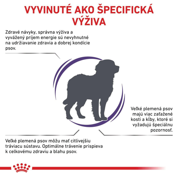Royal Canin Adult Large Dog kompletní granule pro dospělé psy velkých plemen 13 kg