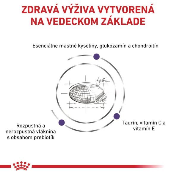Royal Canin Adult Large Dog kompletní granule pro dospělé psy velkých plemen 13 kg