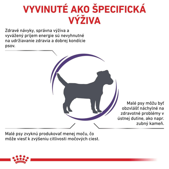 Royal Canin Adult Small Dog Dry kompletní granule pro dospělé psy malých plemen 2 kg