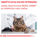 Royal Canin Calm granule pro kočky na podporu při stresových situacích 4 kg