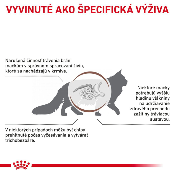Royal Canin Gastrointestinal Hairball granule pro kočky proti tvorbě trichobezoárů 4 kg