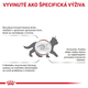 Royal Canin Gastrointestinal Kitten granule pro koťata s gastrointestinálními obtížemi 400 g